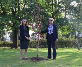 Baby Loss Awareness Week 2023 (7)